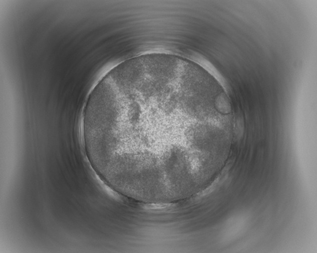 X0000110871290200907091353