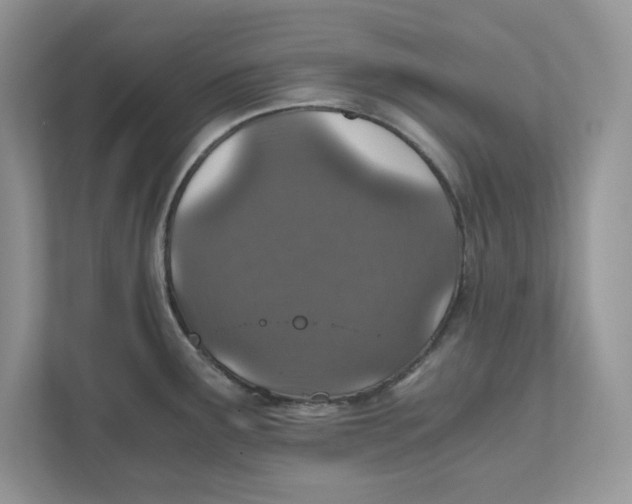 X0000110871291200907091353