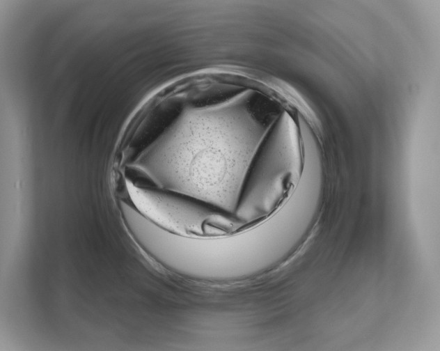 X0000110871292200907091353