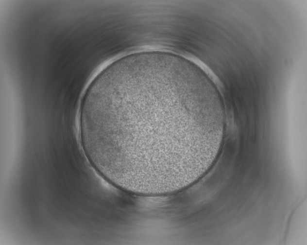 X0000110871294200907091353