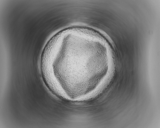 X0000110871295200907091353