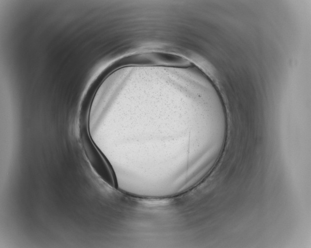 X0000110871296200907091353