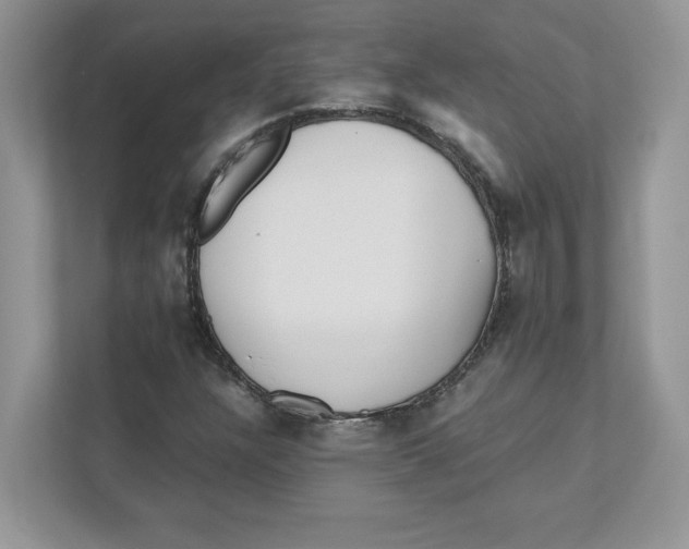 X0000110871304200907091352