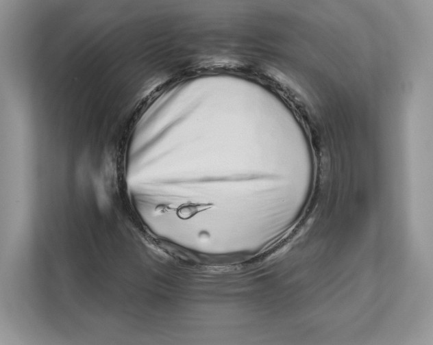 X0000110871305200907091352