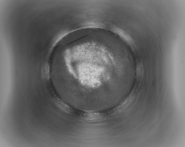 X0000110871310200907091352