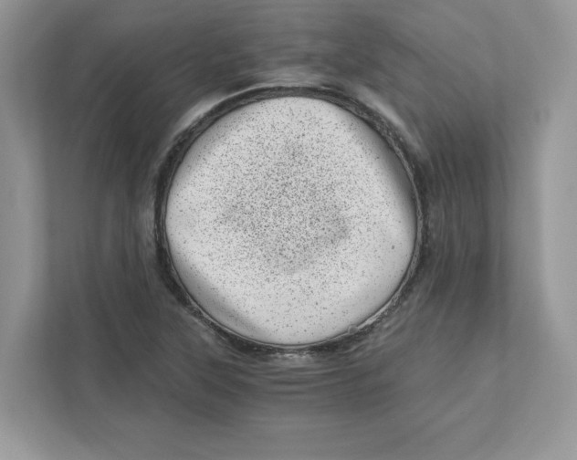 X0000110871315200907091352