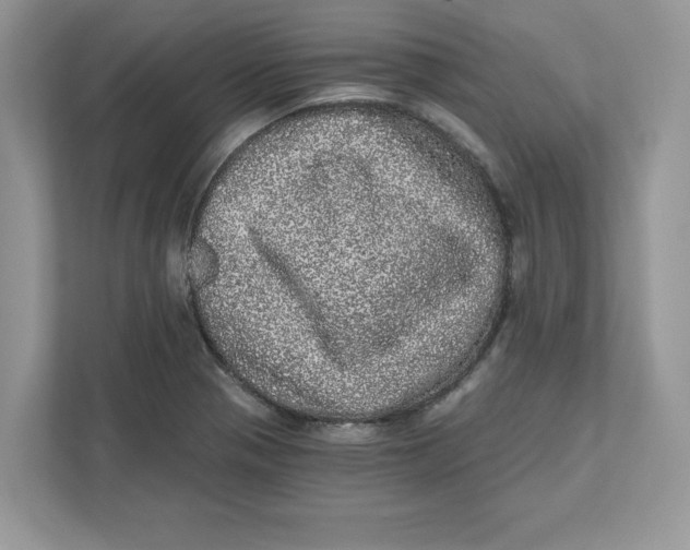 X0000110871321200907091353