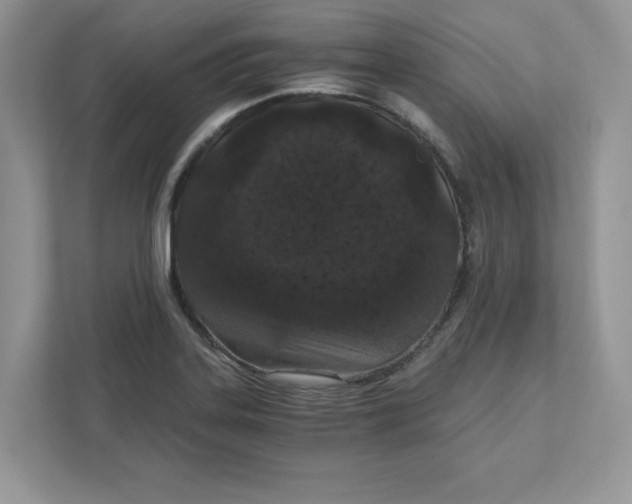 X0000110871323200907091353