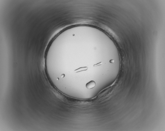 X0000110871324200907091353