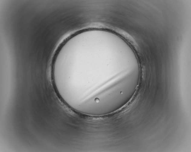 X0000110871326200907091353