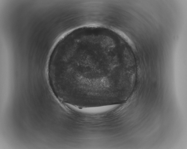 X0000110871327200907091353