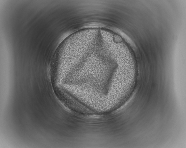 X0000110871329200907091353