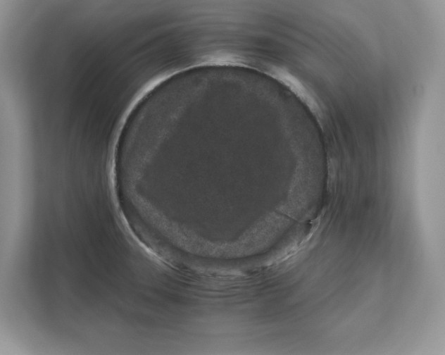 X0000110871331200907091353