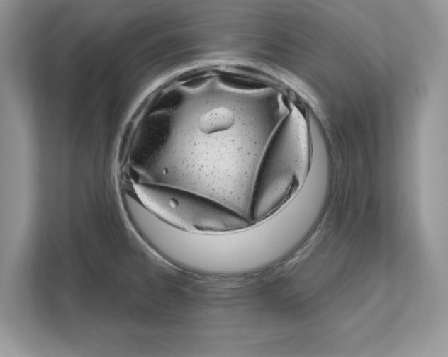 X0000110871334200907091353