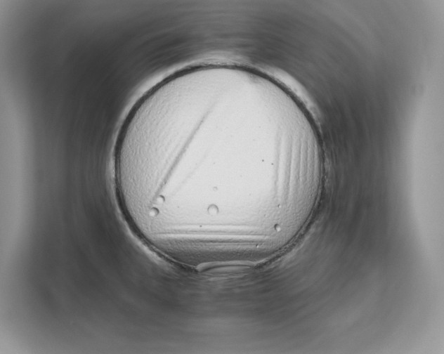 X0000110871335200907091353