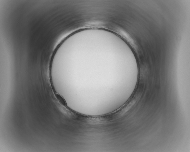 X0000110871336200907091353