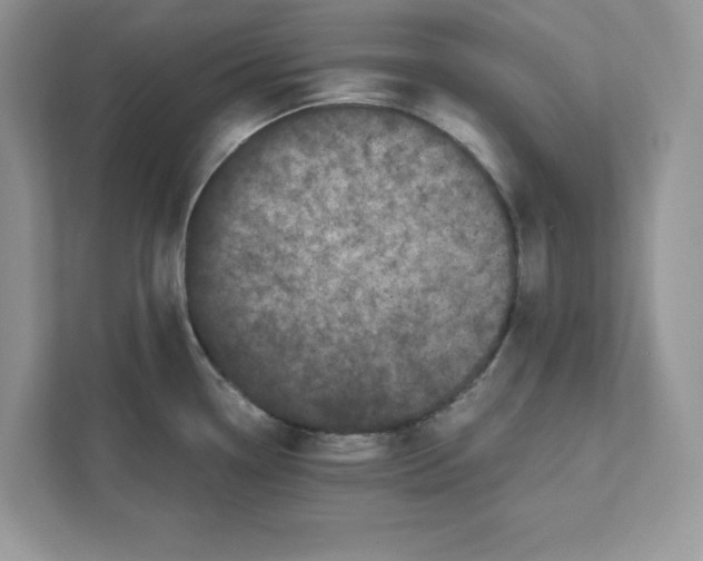 X0000110871338200907091353