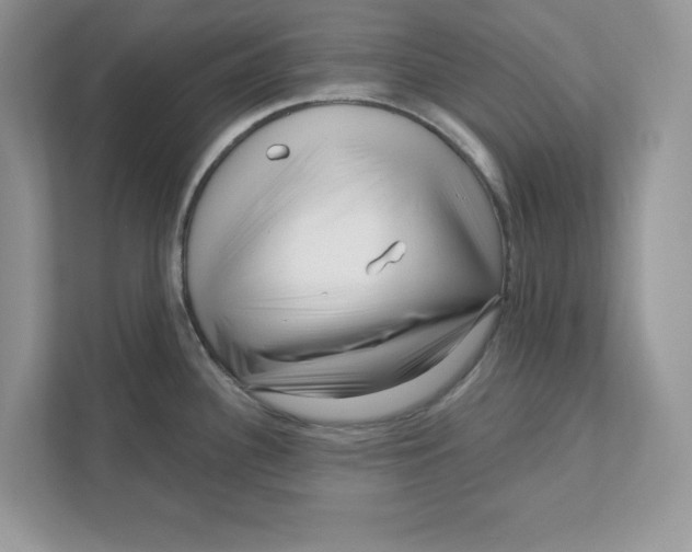 X0000110871340200907091353