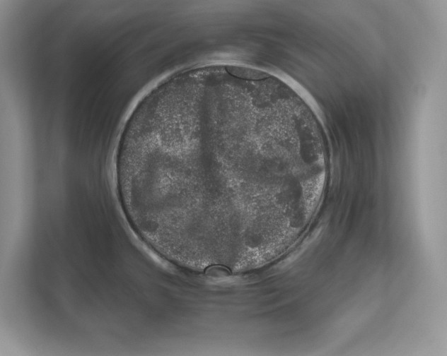 X0000110871341200907091353