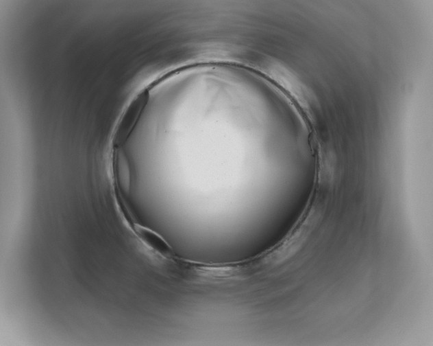 X0000110871342200907091353