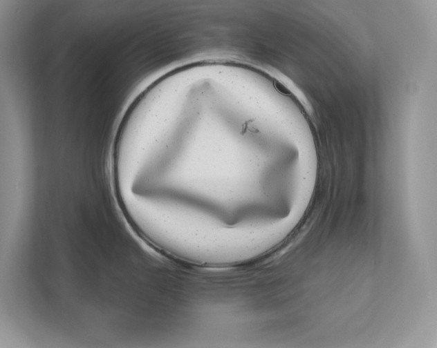 X0000110871343200907091353