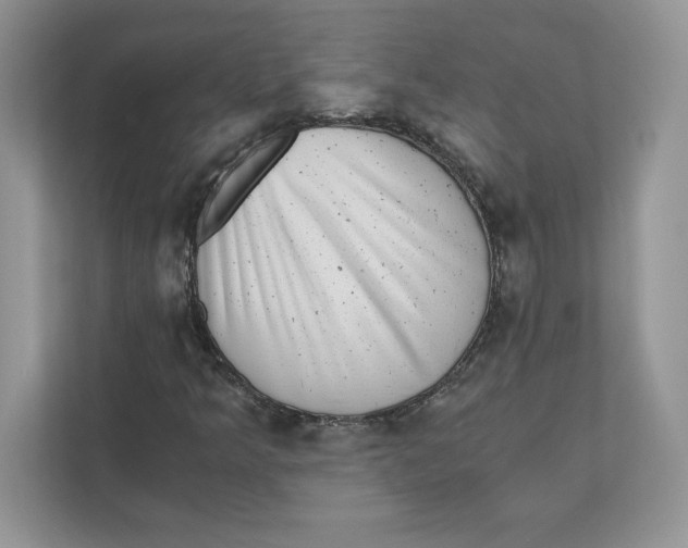 X0000110871349200907091352