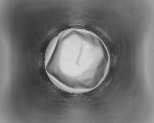 X0000110871350200907091352