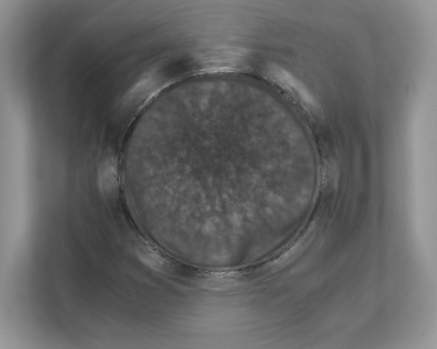 X0000110871353200907091352