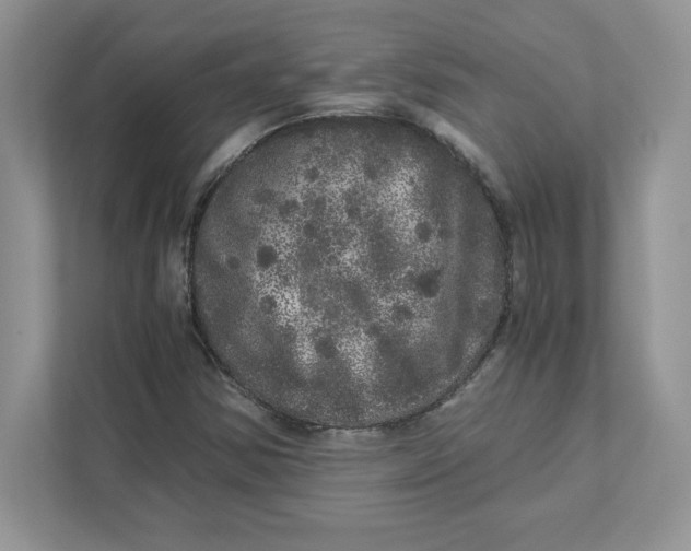 X0000110871354200907091352