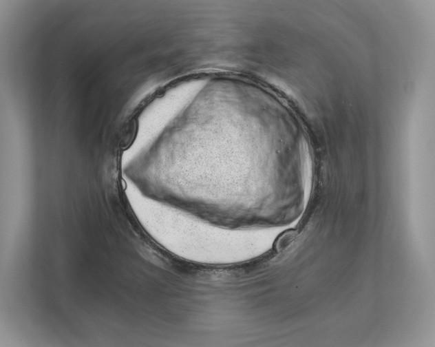 X0000110871355200907091352