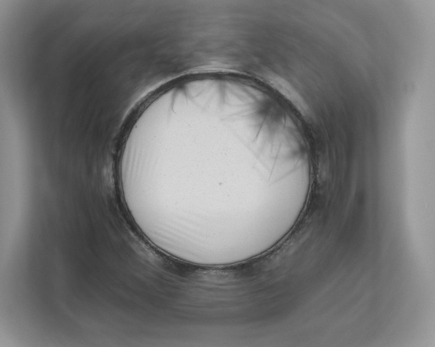 X0000110871356200907091352