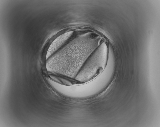 X0000110871357200907091352