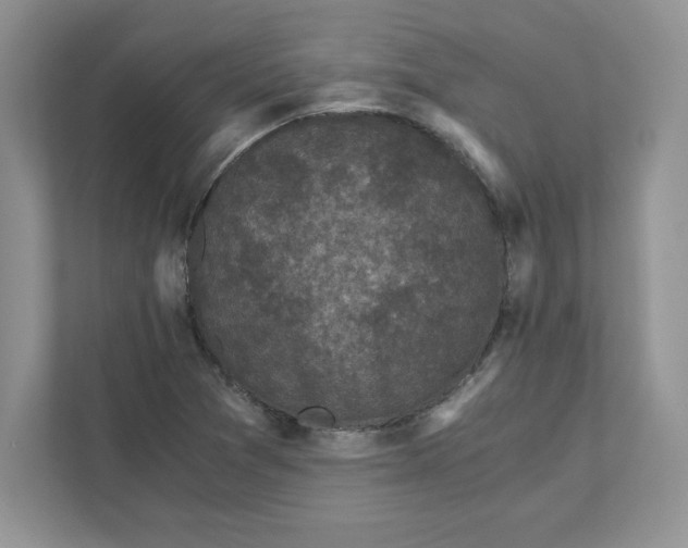 X0000110871361200907091352