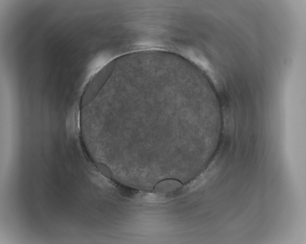 X0000110871365200907091352