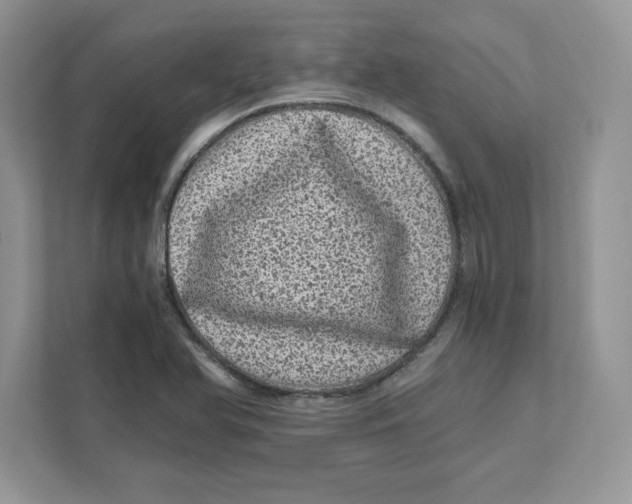 X0000110871366200907091352