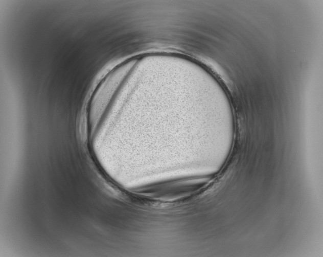 X0000110871371200907091352