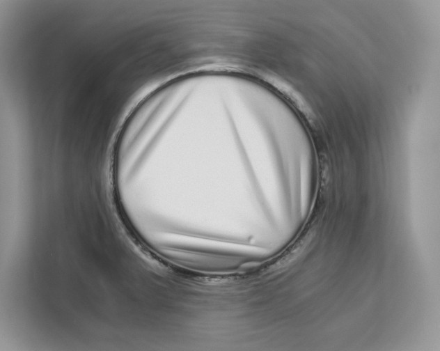 X0000110871375200907091352