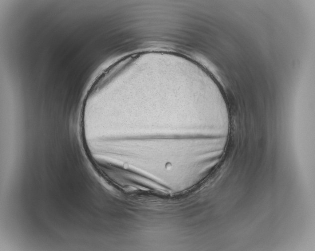 X0000110871379200907091352