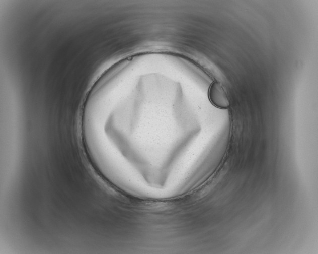 X0000110871382200907091352