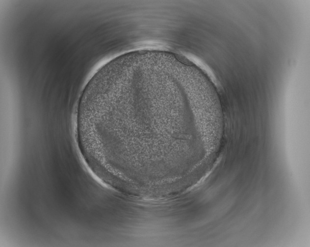 X0000110871383200907091352