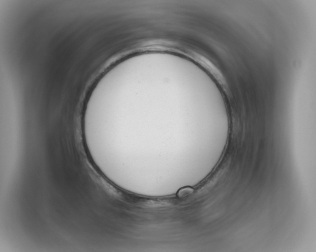 X0000110871384200907091352