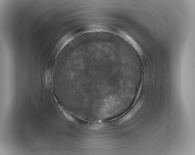 X0000110871385200907091352