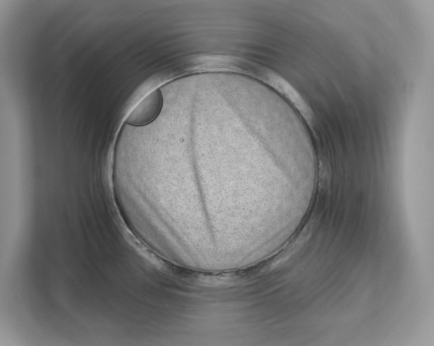 X0000110871386200907091352