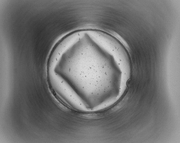 X0000110871388200907091352