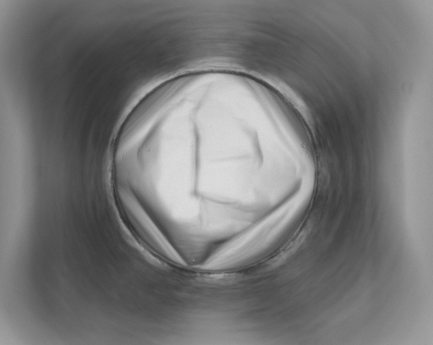 X0000110871390200907091352