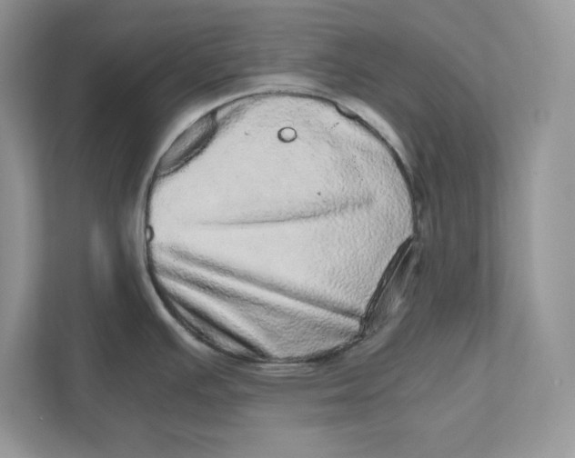 X0000110871391200907091352