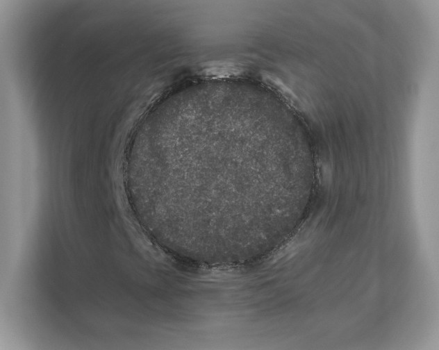 X0000110871393200907091351