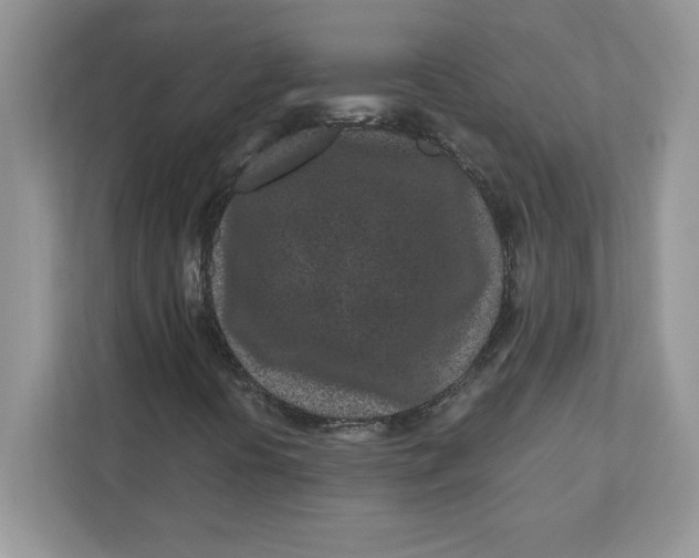 X0000110871394200907091351