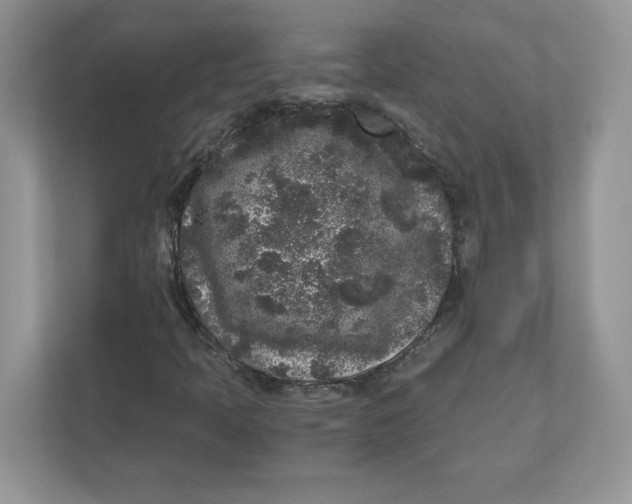 X0000110871397200907091351