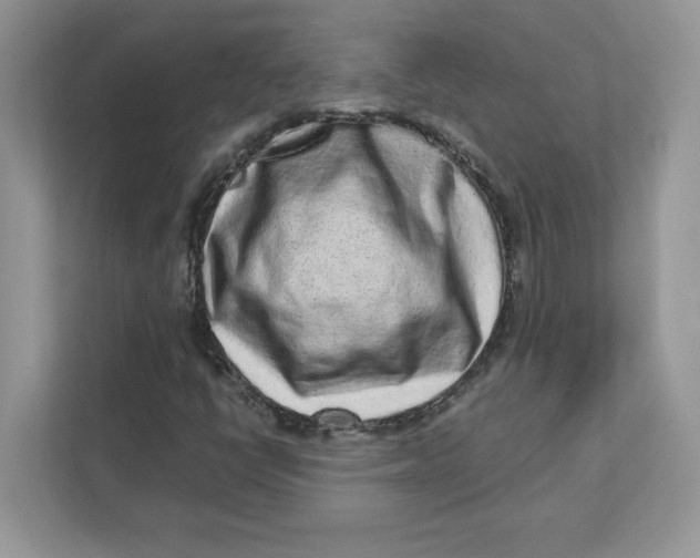 X0000110871398200907091351